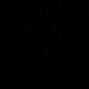 Meet your Posher, Arianna